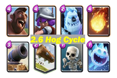 2.6 hog cycle